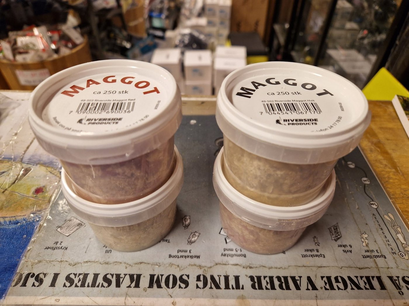 Bokser med maggot på disken